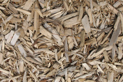 biomass boilers Penhale